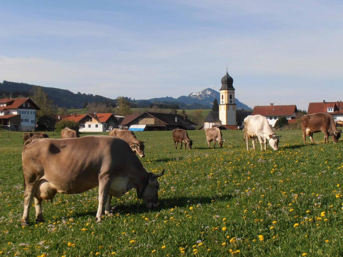 Fewo Herp Oy-Mittelberg Zewnętrze zdjęcie